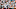 San Francisco Giants San Francisco Giants