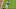 SF Giants, Wilmer Flores SF Giants, Wilmer Flores