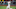 SF Giants SF Giants