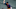 SF Giants SF Giants