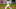 SF Giants, Sam Coonrod SF Giants, Sam Coonrod
