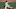 SF Giants SF Giants