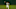 SF Giants, Donovan Solano SF Giants, Donovan Solano