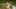 SF Giants SF Giants