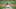 SF Giants, Mike Minor SF Giants, Mike Minor