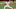 SF Giants SF Giants