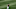 SF Giants, SF Giants Prospects, Hunter Bishop SF Giants, SF Giants Prospects, Hunter Bishop