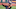 SF Giants, SF Giants Prospects, Heliot Ramos SF Giants, SF Giants Prospects, Heliot Ramos