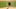 SF Giants, Kevin Gausman SF Giants, Kevin Gausman