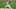 SF Giants SF Giants