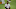 SF Giants, Johnny Cueto, ZIPS SF Giants, Johnny Cueto, ZIPS