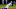 SF Giants, Richard Urena SF Giants, Richard Urena