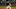 SF Giants, Sam Wolff, SF Giants Prospects SF Giants, Sam Wolff, SF Giants Prospects