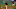 SF Giants, Kevin Gausman SF Giants, Kevin Gausman