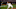 SF Giants, Cleveland Indians, Joey Bart SF Giants, Cleveland Indians, Joey Bart