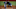 Dodgers, Joc Pederson, World Series Dodgers, Joc Pederson, World Series