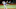 Dodgers, Max Muncy, World Series Dodgers, Max Muncy, World Series