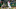 SF Giants, San Jose Giants, SF Giants Prospects SF Giants, San Jose Giants, SF Giants Prospects