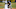 SF Giants, Diego Rincones, SF Giants Prospects SF Giants, Diego Rincones, SF Giants Prospects
