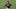 Cleveland Indians, Aaron Bracho Cleveland Indians, Aaron Bracho