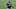 Cleveland Indians. Nolan Jones Cleveland Indians. Nolan Jones