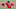 Mike Clevinger, Cleveland Indians Mike Clevinger, Cleveland Indians