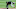 Cleveland Indians, Francisco Lindor Cleveland Indians, Francisco Lindor