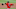 CLEVELAND, OH – AUGUST 11: Adam Plutko #45 of the Cleveland Indians pitches against the Chicago Cubs during the first inning at Progressive Field on August 11, 2020 in Cleveland, Ohio. (Photo by Ron Schwane/Getty Images) CLEVELAND, OH – AUGUST 11: Adam Plutko #45 of the Cleveland Indians pitches against the Chicago Cubs during the first inning at Progressive Field on August 11, 2020 in Cleveland, Ohio. (Photo by Ron Schwane/Getty Images)