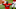 Cleveland Indians, Sandy Leon Cleveland Indians, Sandy Leon