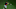 Cleveland Indians, Josh Naylor Cleveland Indians, Josh Naylor