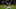 Cleveland Indians, James Karinchak Cleveland Indians, James Karinchak