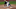 Philadelphia Phillies, Mickey Moniak Philadelphia Phillies, Mickey Moniak