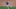 Cavan Biggio, Cleveland Indians, Toronto Blue Jays Cavan Biggio, Cleveland Indians, Toronto Blue Jays