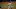 Victor Robles, Washington Nationals Victor Robles, Washington Nationals
