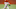 Hector Neris, Philadelphia Phillies Hector Neris, Philadelphia Phillies