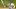 Brandon Nimmo, New York Mets, Cleveland Indians Brandon Nimmo, New York Mets, Cleveland Indians