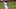 Mookie Betts, Los Angeles Dodgers Mookie Betts, Los Angeles Dodgers