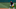 Cleveland Indians, Gabriel Arias Cleveland Indians, Gabriel Arias