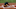 Cleveland Indians Cleveland Indians