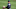 2021 MLB Draft, Cleveland Indians, Bo Naylor 2021 MLB Draft, Cleveland Indians, Bo Naylor