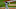Cleveland Indians, Roberto Perez