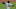 Cleveland Indians, Triston McKenzie