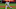 Cleveland Indians, Sam Hentges Cleveland Indians, Sam Hentges