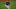 Yusei Kikuchi, Cleveland Indians, Seattle Mariners Yusei Kikuchi, Cleveland Indians, Seattle Mariners