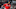 Cleveland Indians, Eddie Rosario Cleveland Indians, Eddie Rosario
