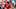 Cleveland Indians, Cleveland Guardians, Franmil Reyes Cleveland Indians, Cleveland Guardians, Franmil Reyes