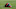 Cleveland Indians Cleveland Indians