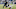 Steven Bisig-USA TODAY Sports Steven Bisig-USA TODAY Sports