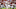 John David Mercer-USA TODAY Sports John David Mercer-USA TODAY Sports