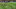 Watch NFL Games NFL Game Pass NFL.com 2 Watch NFL Games NFL Game Pass NFL.com 2